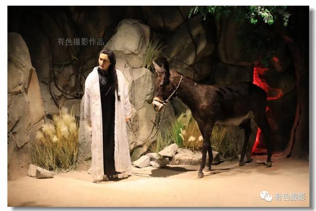 大話西游私服:探秘仙魔世界,尋找絕世珍寶 大話西游私服:探秘仙魔世界,尋找絕世珍寶